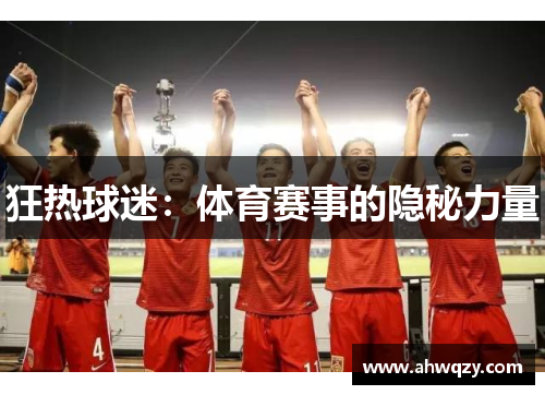 狂热球迷：体育赛事的隐秘力量